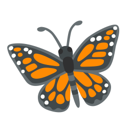 Butterfly!